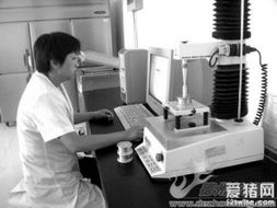 谷神生物 創新驅動發展，技術與產品動態全面解析